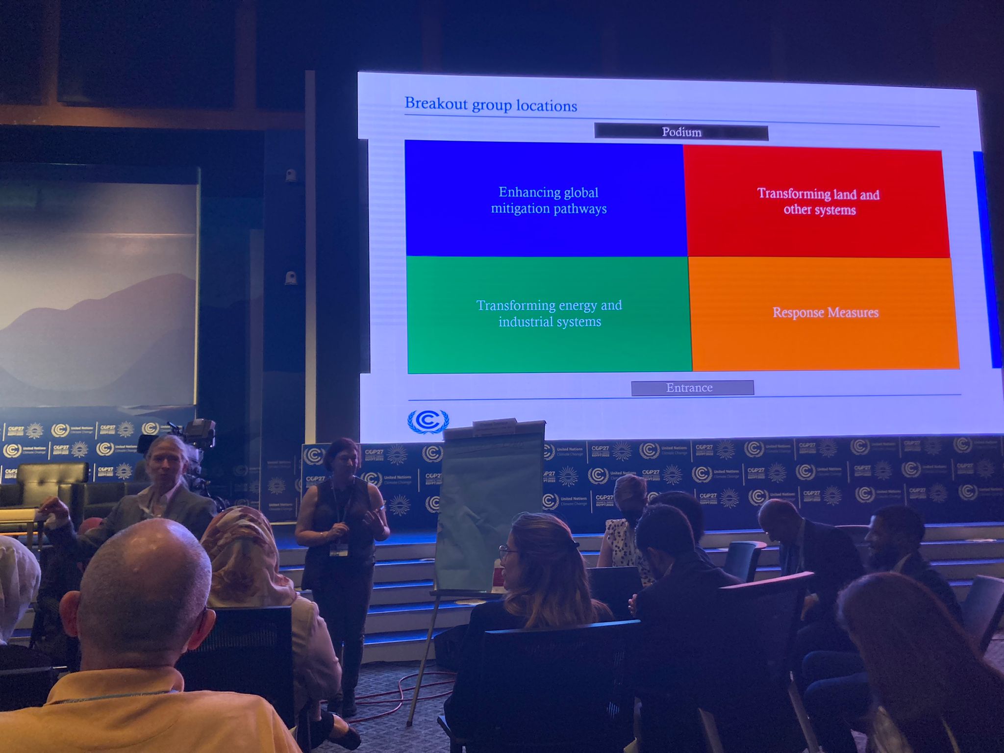 roundtable_cop27.jpeg