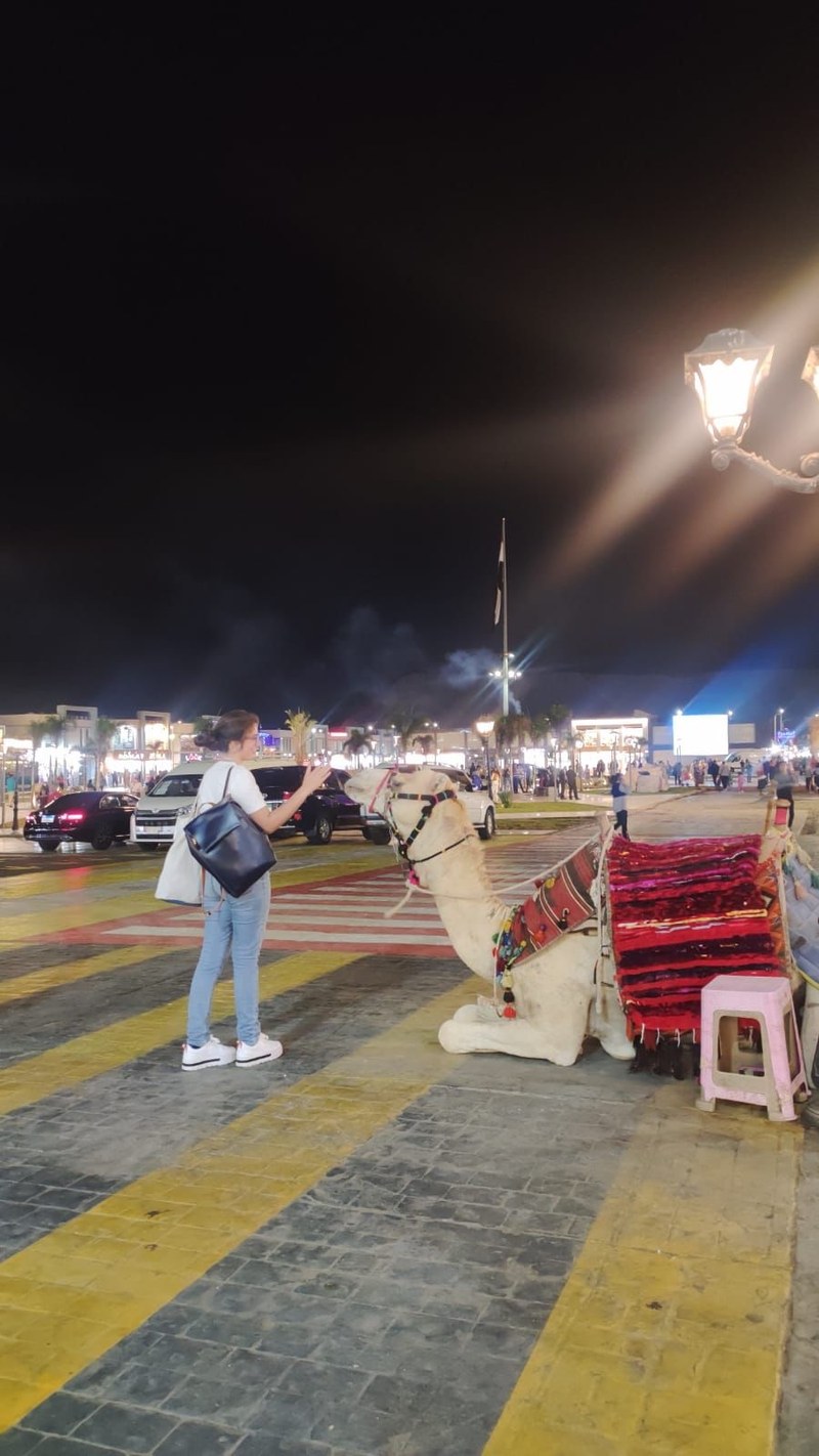 WhatsApp Image 2022-11-12 at 6.39.44 AM.jpeg