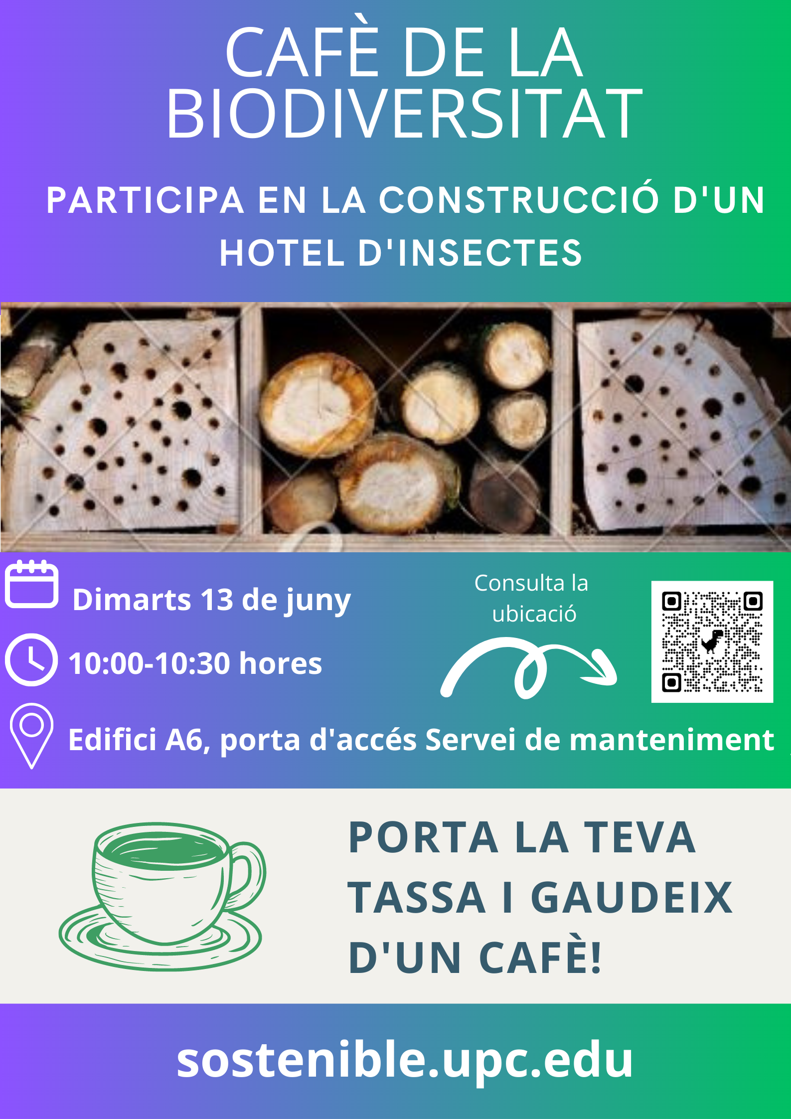Construcció hotel d'insectes Campus Nord