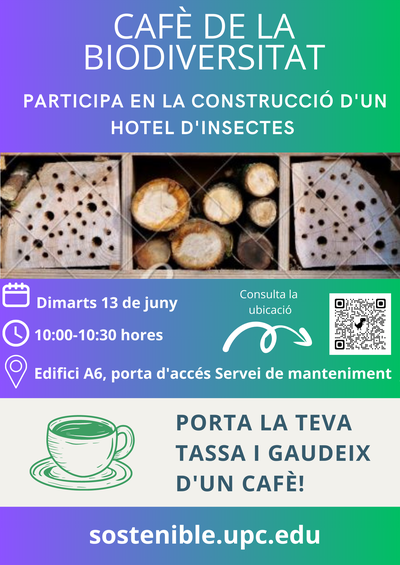 Construcció hotel d'insectes Campus Nord