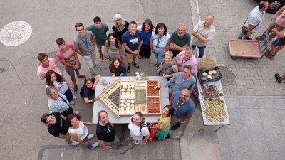 Hotel d'insectes foto de grup