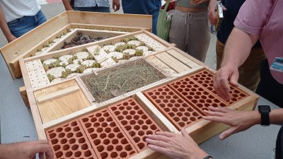 Nou hotel d'insectes al Campus Nord per preservar la biodiversitat